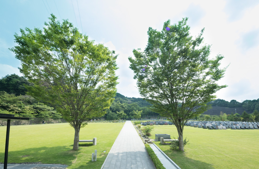 京都天が瀬メモリアル公園の風景写真その３
