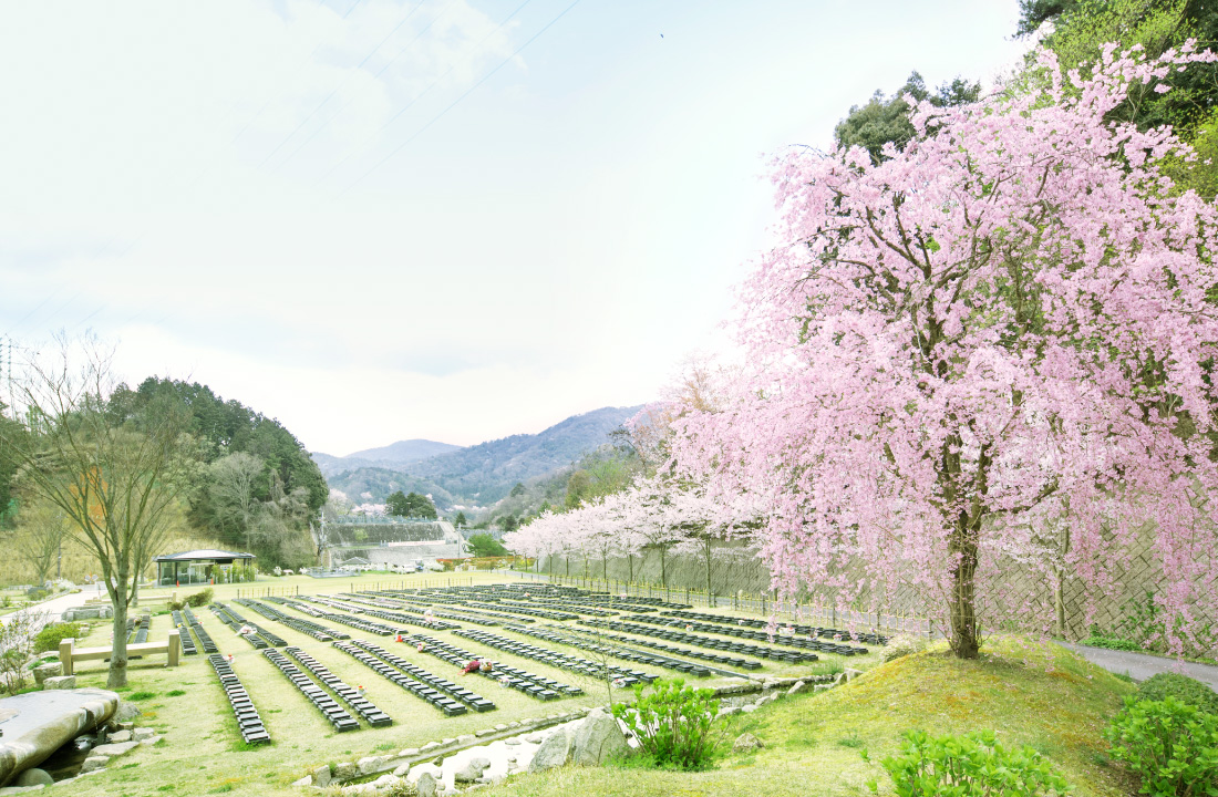 京都天が瀬メモリアル公園の風景写真その２